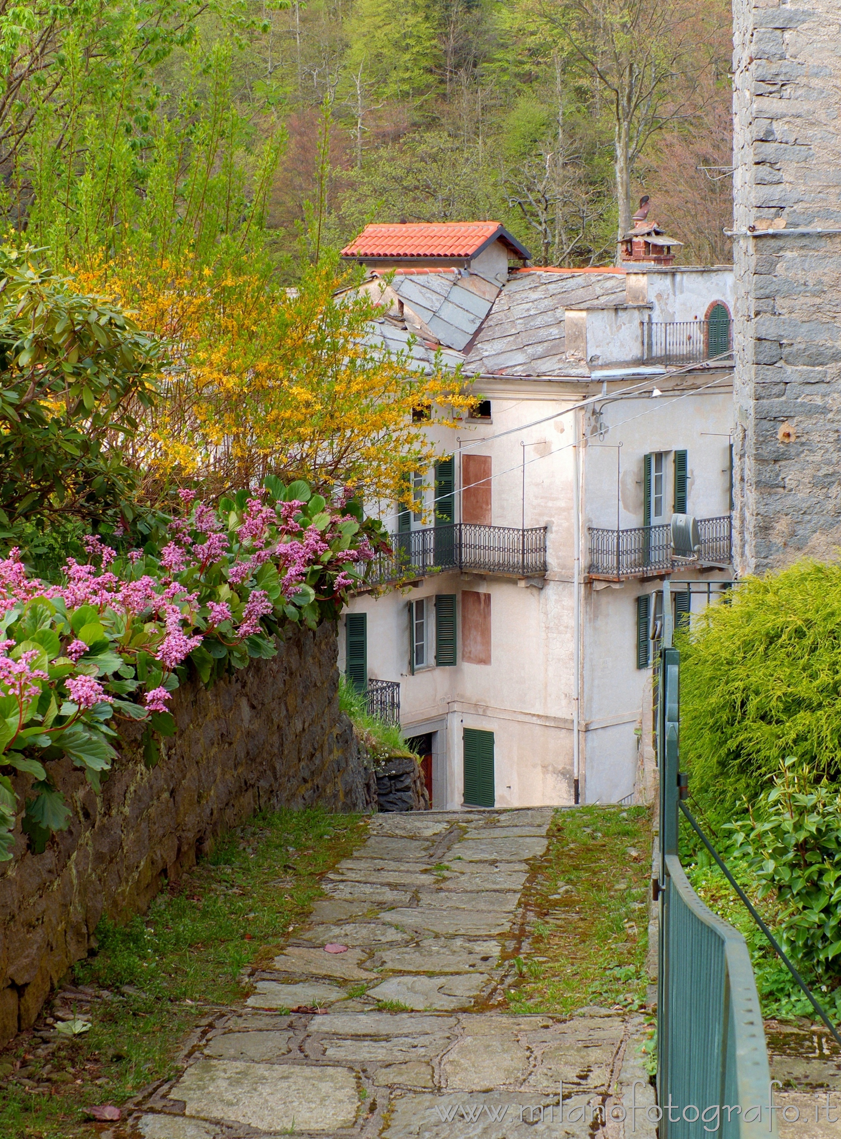 Rosazza (Biella, Italy) - Spring colors in the small street of the village 